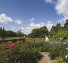Killerton