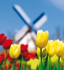 Floriade 2012