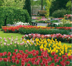 Floriade