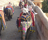 Amber Fort elephant ride